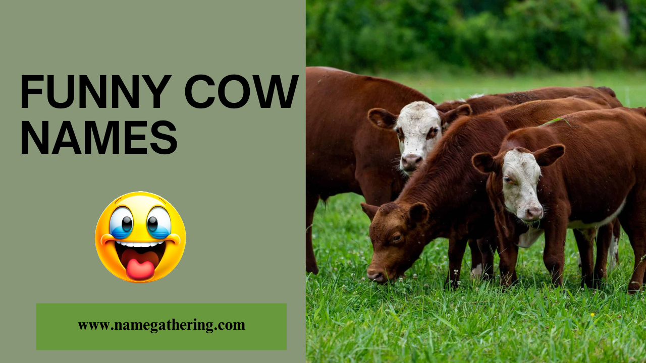 Funny-Cow-Names